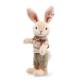 Steiff Rabbit boy