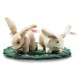 Steiff Rabbit set